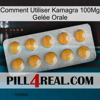 Comment Utiliser Kamagra 100Mg Gelée Orale levitra1